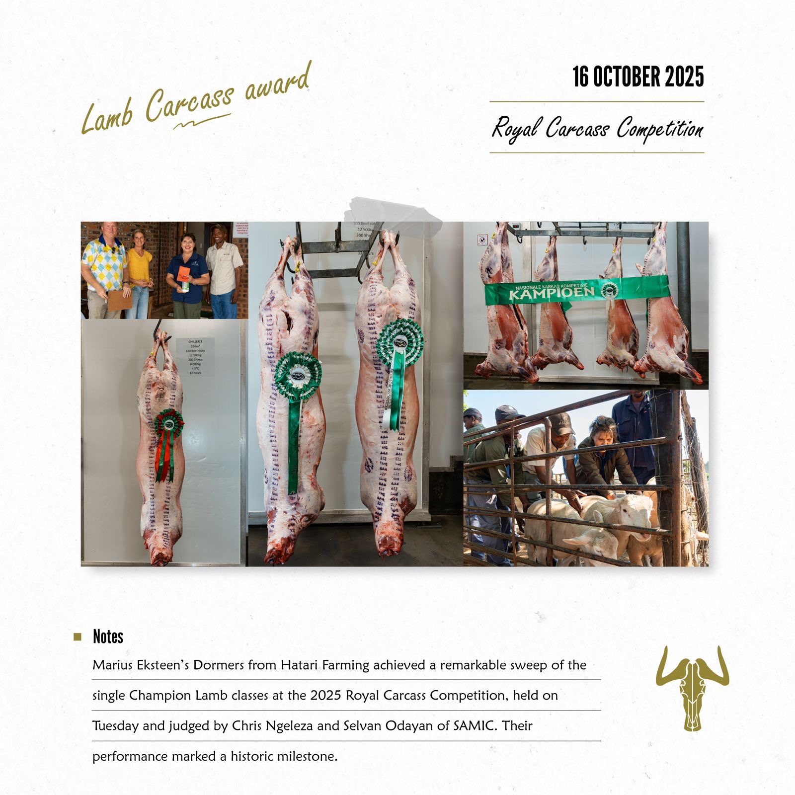 Hatari-farming-dormer-auction-results