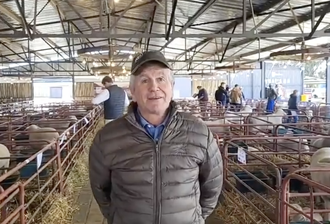 Nova Barletta se Lodie